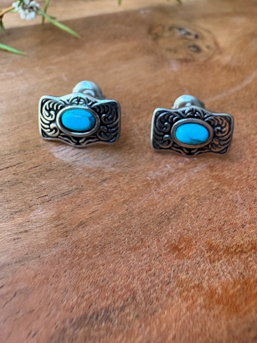Earrings -buckle studs